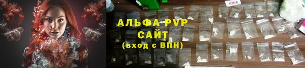 крисы Белокуриха