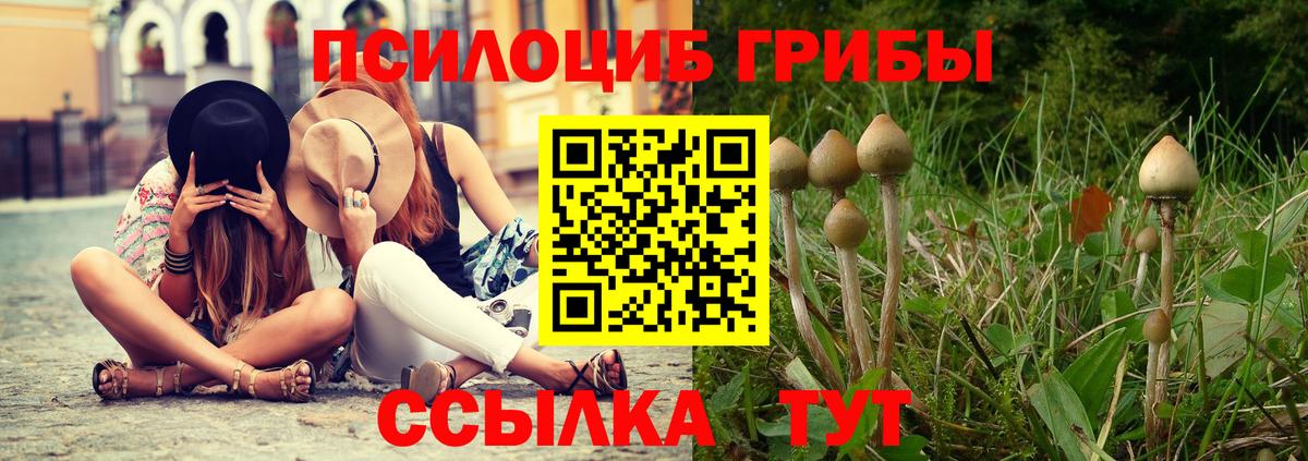 Галлюциногенные грибы мухоморы  Вход с VPN  Псилоцибиновые грибы ЛСД  Дагестанские Огни 